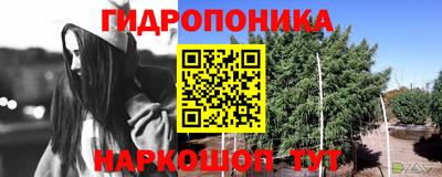 ГАЛЛЮЦИНОГЕННЫЕ ГРИБЫ Кингисепп
