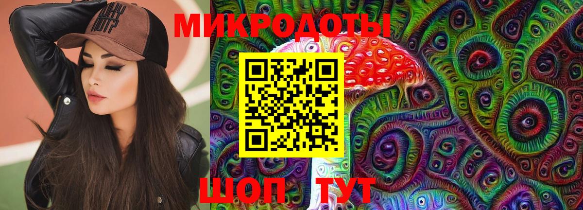 Галлюциногенные грибы Cubensis Балтийск