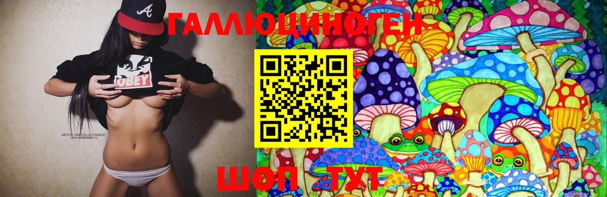 Балтийск  Галлюциногенные грибы MAGIC MUSHROOMS  Вход с VPN 
